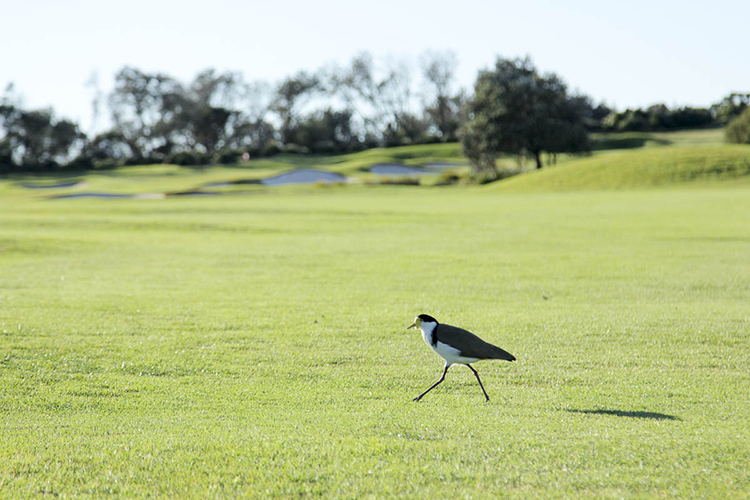 9 of your favorite games to play on the golf course